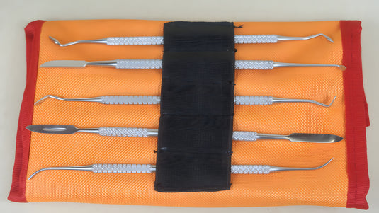Set of 5 dental probes with case